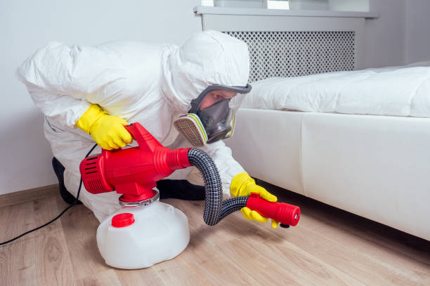 Best Bed Bug Extermination  in Shpee Neck, MA