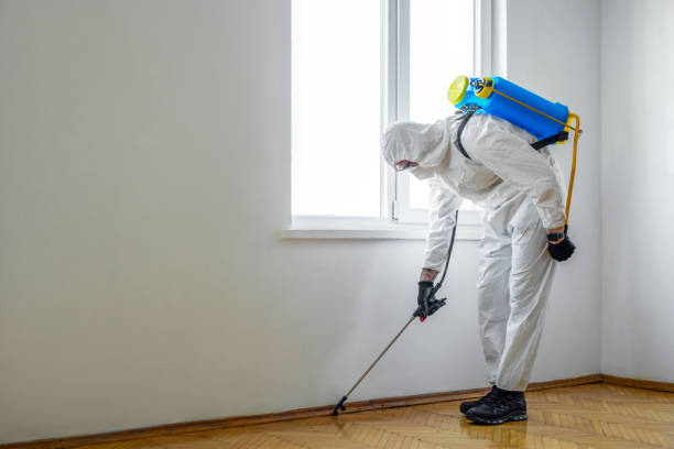 Best Pest Control for Restaurants  in Shpee Neck, MA