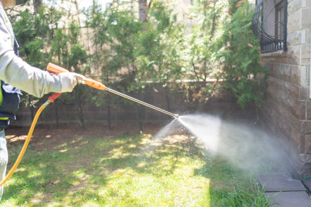 Best Pest Inspection Near Me  in Shpee Neck, MA