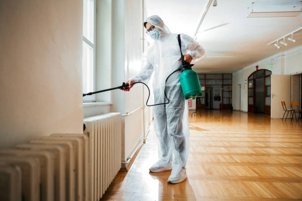 Reliable Mashpee Neck, MA Pest Control Solutions