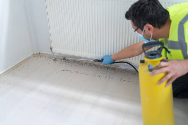 Best Pest Removal Services  in Shpee Neck, MA